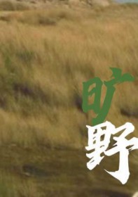 旷野